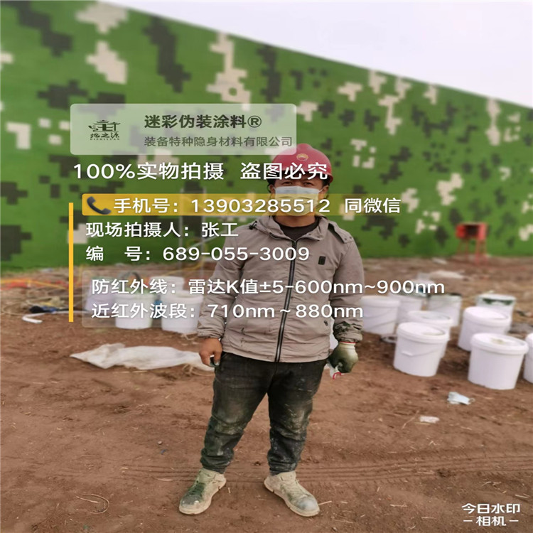 红桥​包括外墙、护坡、水泥地面建筑物的迷彩喷涂